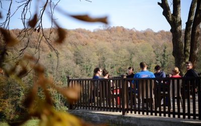 IDEJE, AKCIJE, PODRŠKA – iliti Izveštaj sa četvrte, poslednje faze Treninga za trenere-ice, Andrevlje, 7-13.11.2014.