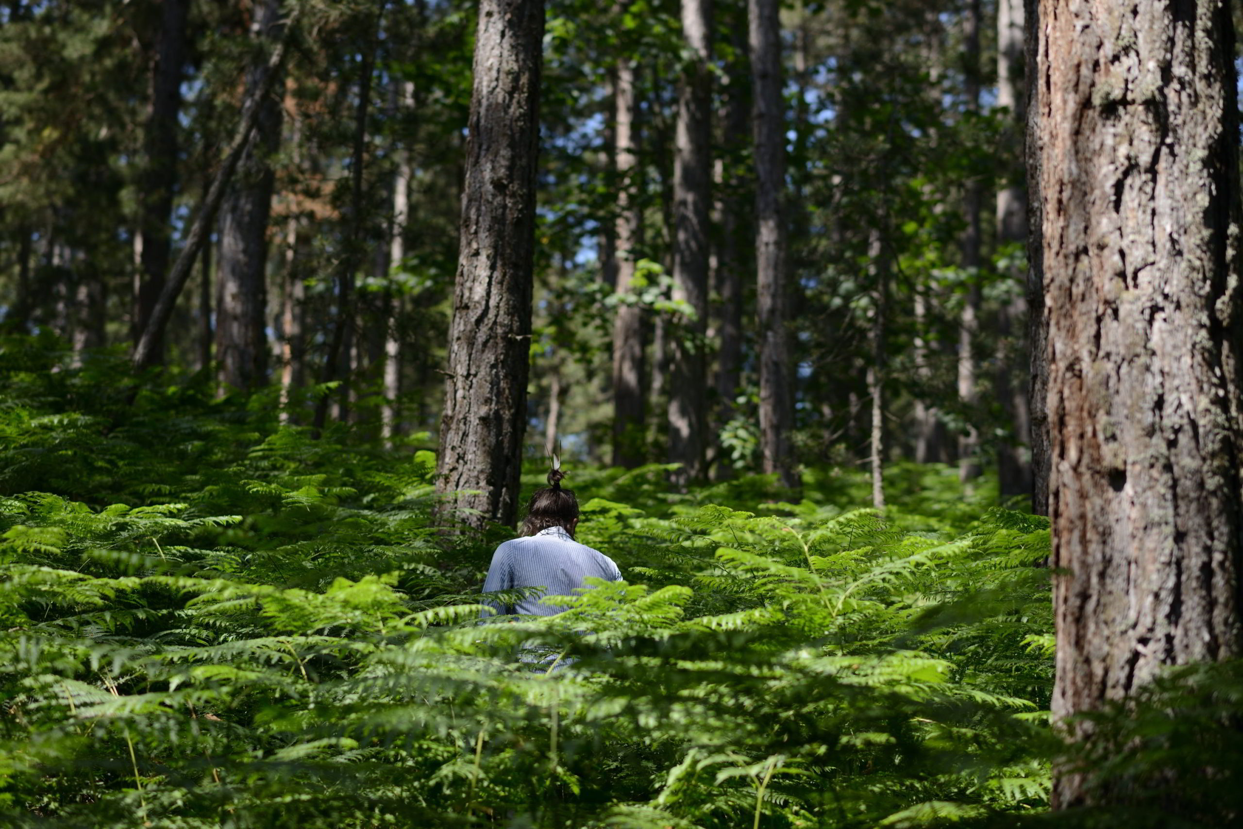 Bulgaria is the New Greece