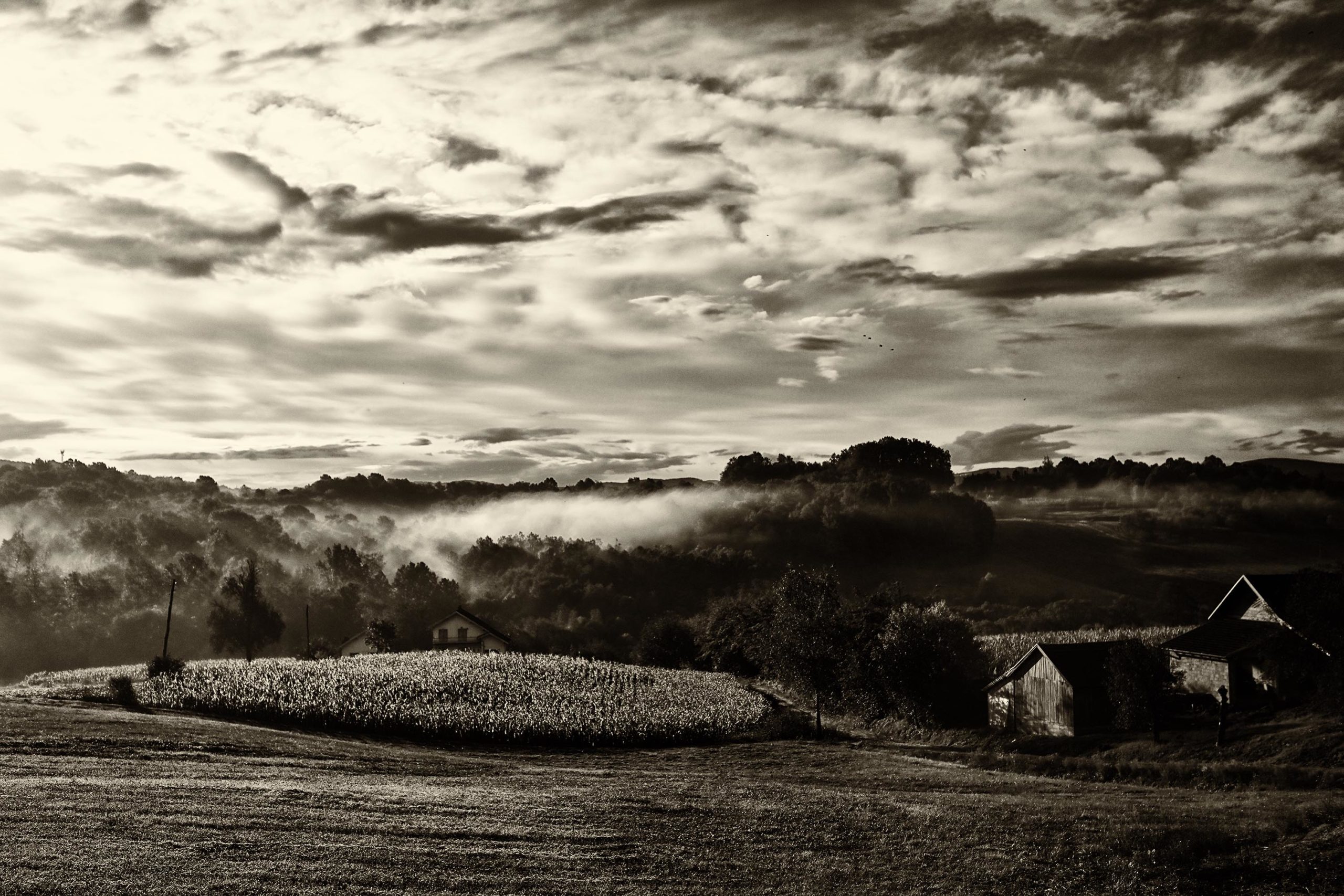 Monetary fines and prison sentences are not the worst that can happen