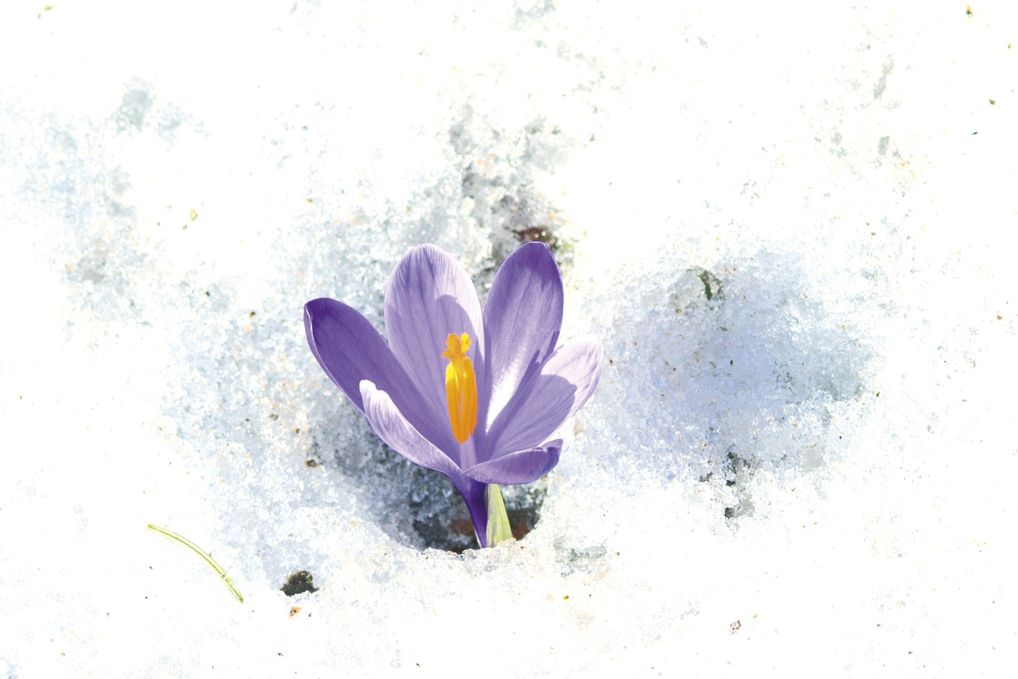 New handbook: Nonviolence!