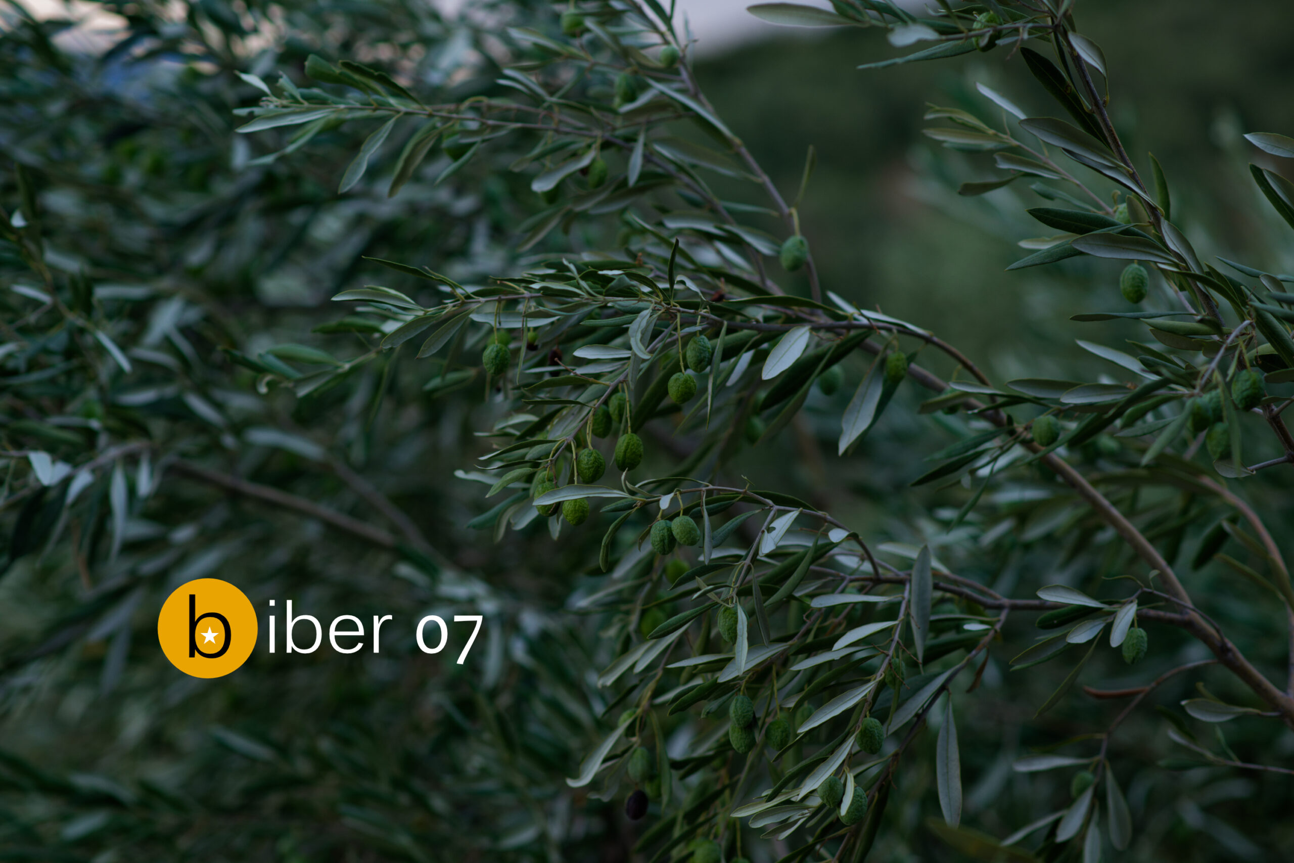 Raspisan je sedmi konkurs za kratku priču Biber posvećen studentskoj borbi