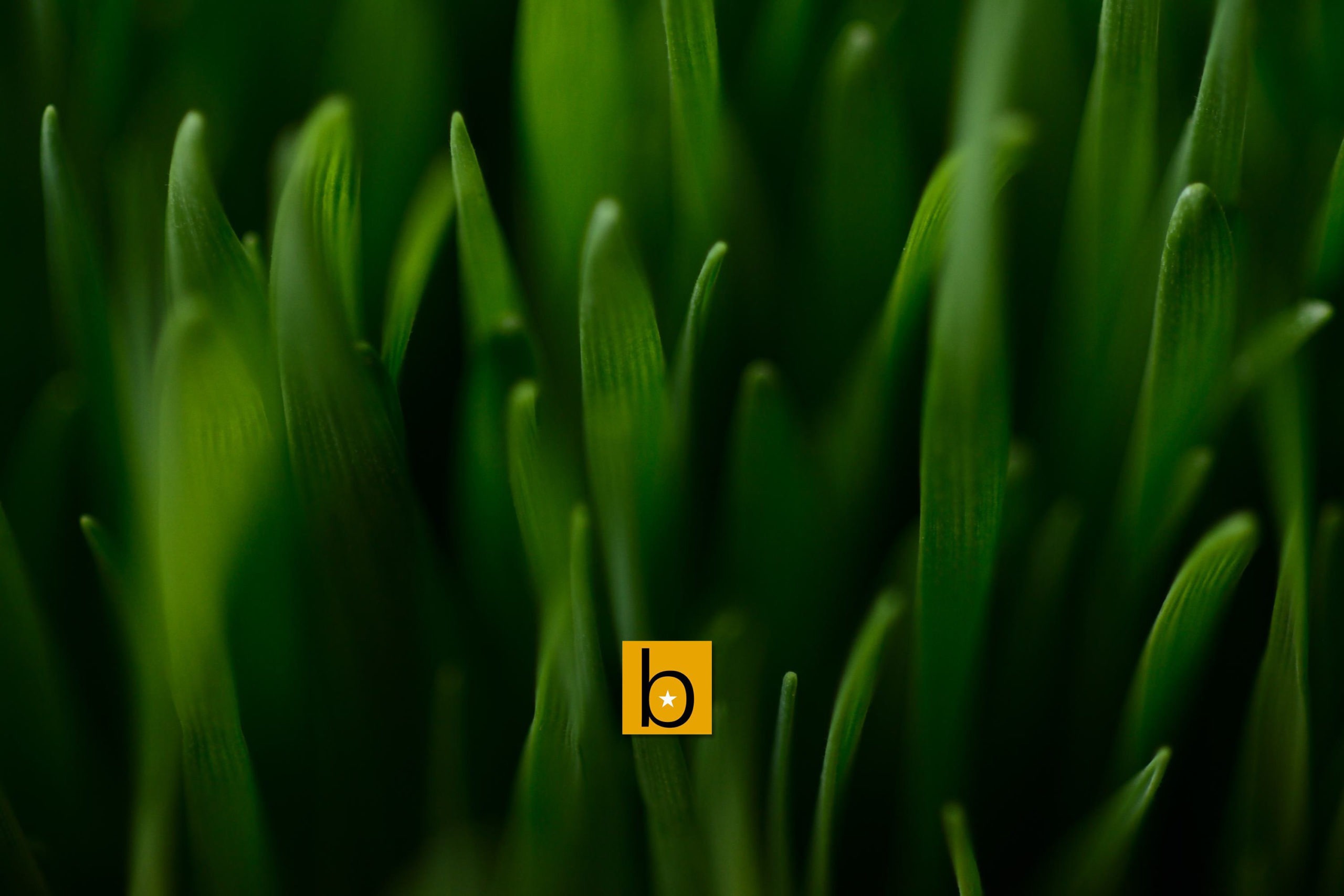 Results of the Fourth Biber Short Story Contest